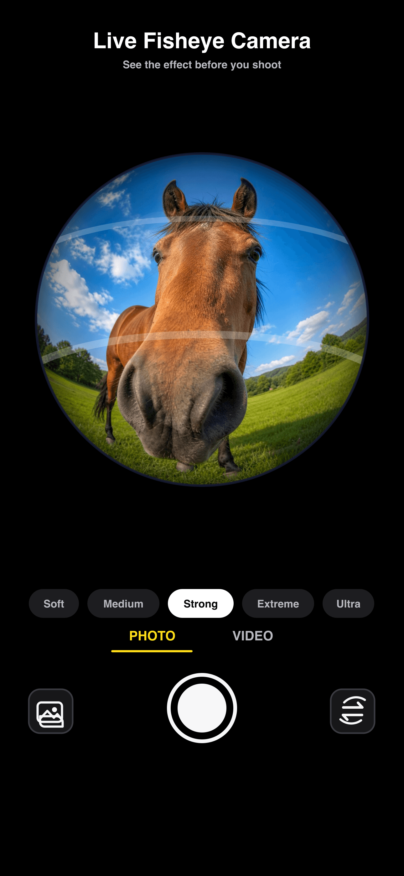 Fisheye Camera screenshot